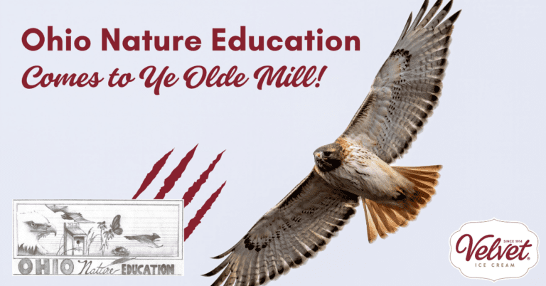 Ohio Nature Education